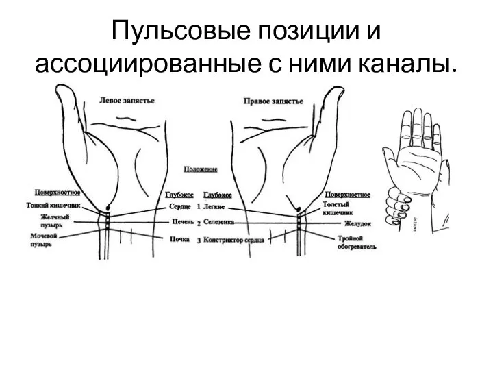 Пульсовые позиции и ассоциированные с ними каналы.