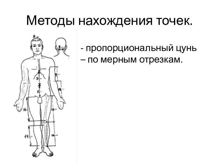 Методы нахождения точек. - пропорциональный цунь – по мерным отрезкам.