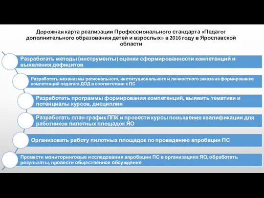 Дорожная карта реализации Профессионального стандарта «Педагог дополнительного образования детей и взрослых»