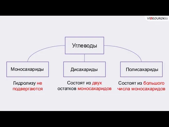 Углеводы Моносахариды Дисахариды Полисахариды Гидролизу не подвергаются Состоят из двух остатков