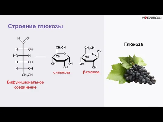 Строение глюкозы Глюкоза Бифункциональное соединение α-глюкоза β-глюкоза