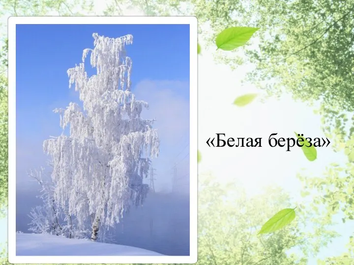 П Р И Н А К Р Подсказка: О любимом дереве Есенина «Белая берёза»