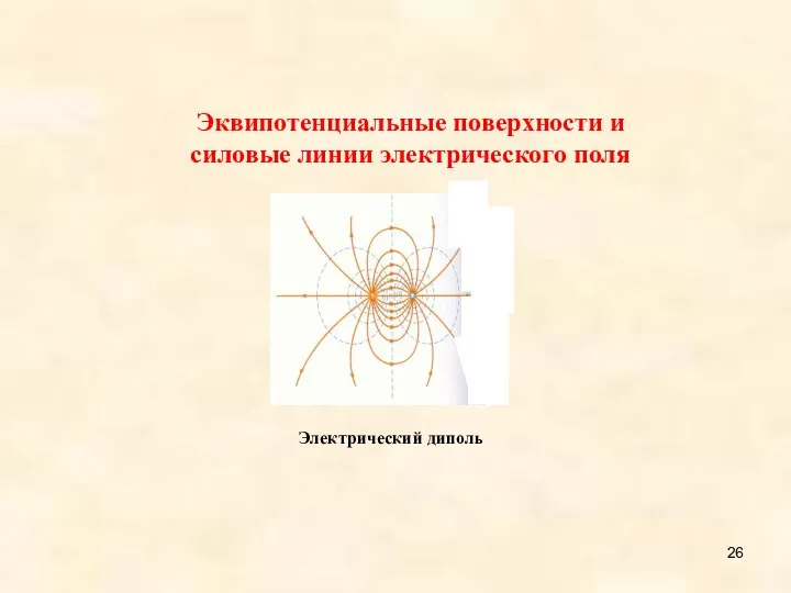 Эквипотенциальные поверхности и силовые линии электрического поля