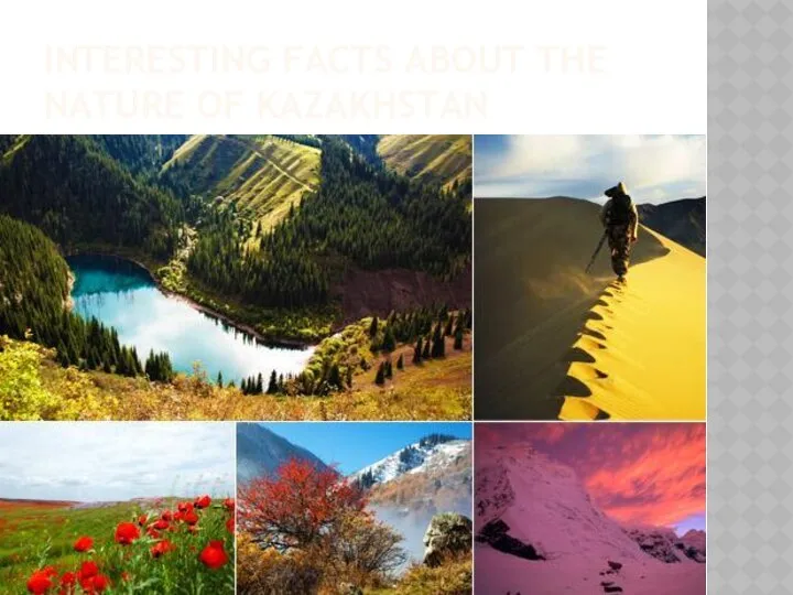 INTERESTING FACTS ABOUT THE NATURE OF KAZAKHSTAN