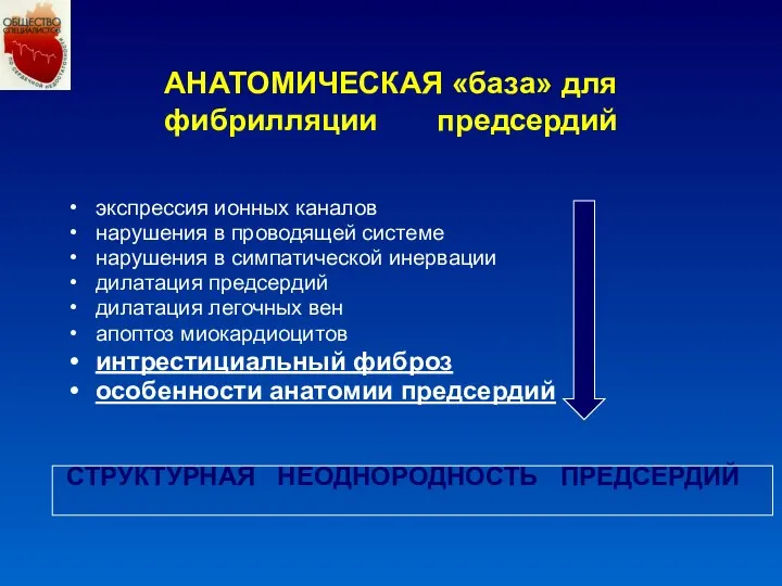 АНАТОМИЧЕСКАЯ «база» для фибрилляции предсердий экспрессия ионных каналов нарушения в проводящей