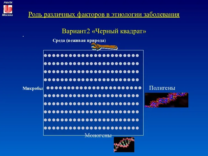 Роль различных факторов в этиологии заболевания Вариант2 «Черный квадрат» . Среда