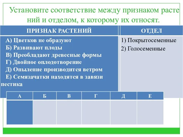 7 Уста­но­ви­те со­от­вет­ствие между при­зна­ком рас­те­ний и от­де­лом, к ко­то­ро­му их от­но­сят.