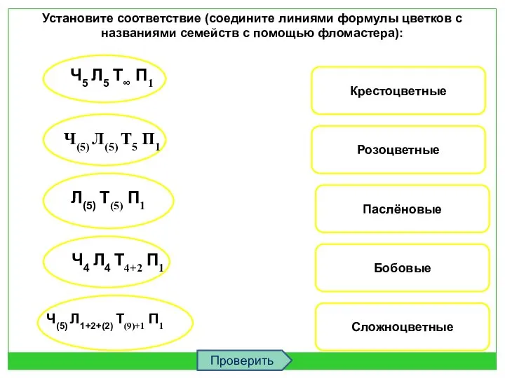 Крестоцветные Розоцветные Паслёновые Бобовые Сложноцветные Установите соответствие (соедините линиями формулы цветков