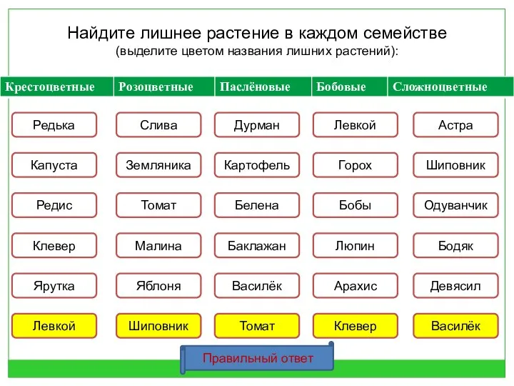 Найдите лишнее растение в каждом семействе (выделите цветом названия лишних растений):