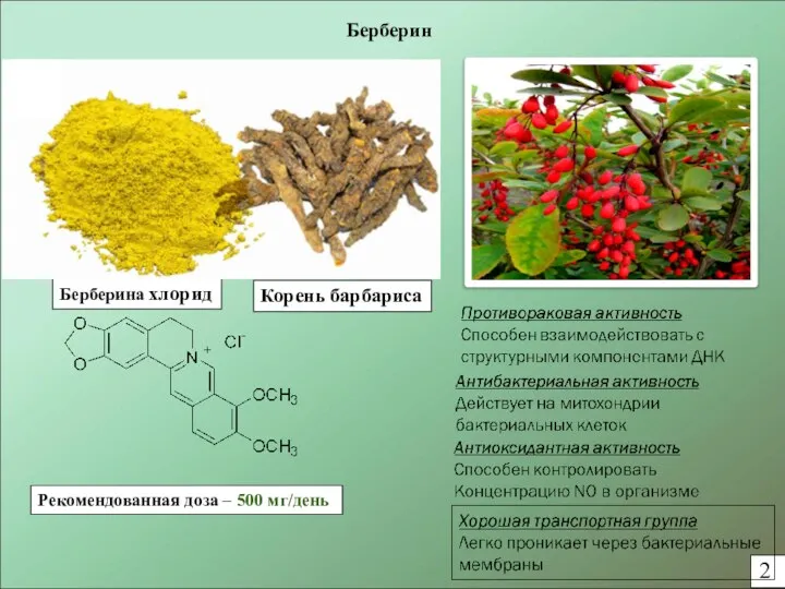 Берберин 2 Рекомендованная доза – 500 мг/день Берберина хлорид Корень барбариса
