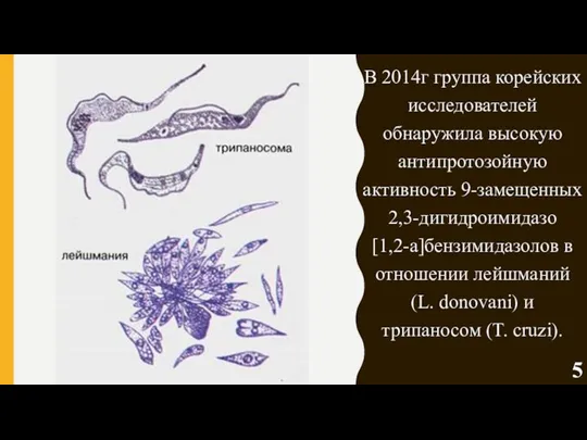 В 2014г группа корейских исследователей обнаружила высокую антипротозойную активность 9-замещенных 2,3-дигидроимидазо[1,2-a]бензимидазолов