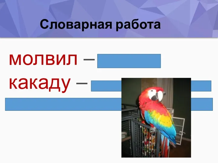 Словарная работа молвил – говорил какаду – название птицы, которая живет в жарких странах