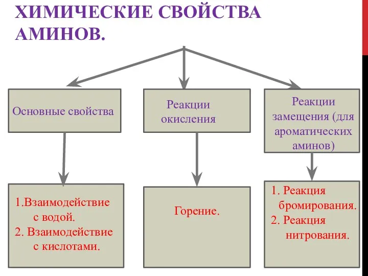 ХИМИЧЕСКИЕ СВОЙСТВА АМИНОВ. Основные свойства Реакции окисления Реакции замещения (для ароматических