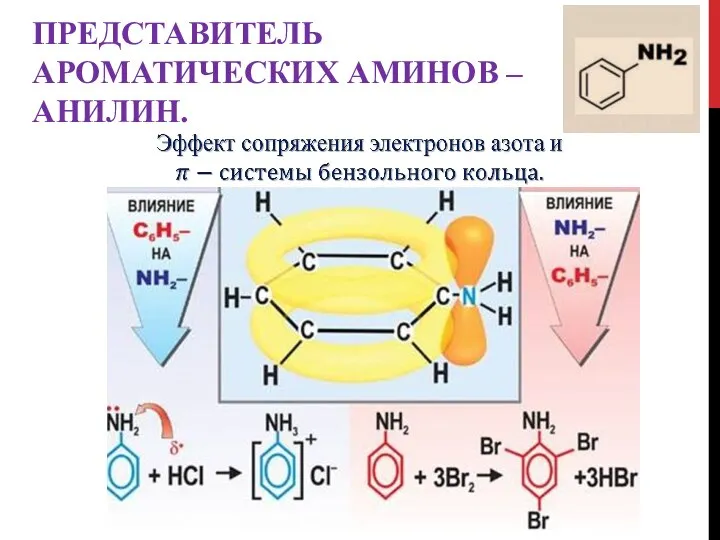 ПРЕДСТАВИТЕЛЬ АРОМАТИЧЕСКИХ АМИНОВ – АНИЛИН.