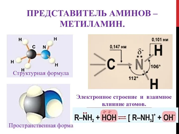 ПРЕДСТАВИТЕЛЬ АМИНОВ – МЕТИЛАМИН. Структурная формула Пространственная форма Электронное строение и взаимное влияние атомов.