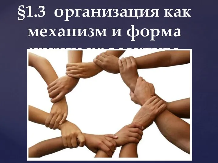 §1.3 организация как механизм и форма жизни коллектива