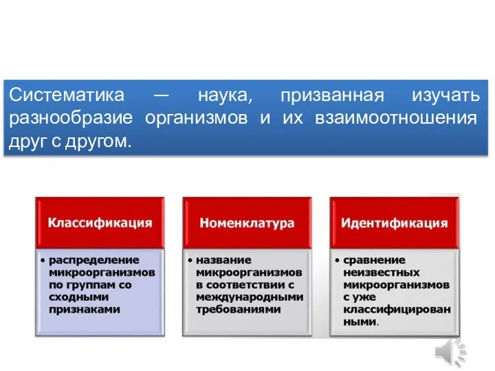 Систематика — наука, призванная изучать разнообразие организмов и их взаимоотношения друг с другом. Систематика микроорганизмов