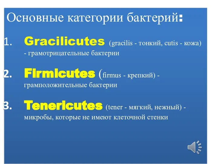 Основные категории бактерий: Gracilicutes (gracilis - тонкий, cutis - кожа) -