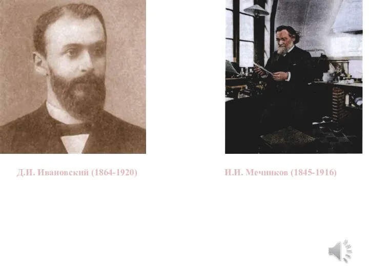 И.И. Мечников (1845-1916) Д.И. Ивановский (1864-1920)