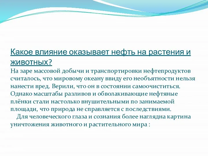 Какое влияние оказывает нефть на растения и животных? На заре массовой