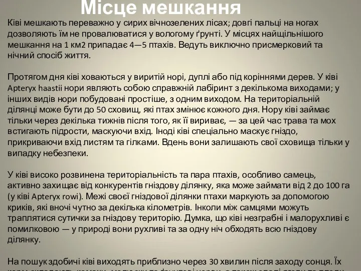 Ківі мешкають переважно у сирих вічнозелених лісах; довгі пальці на ногах