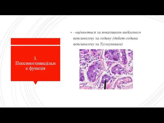 3. Пепсиногенвидільна функція – оцінюється за показником виділеного пепсиногену за годину (дебет-година пепсиногену за Туголуковим)