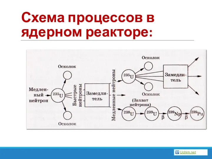 Схема процессов в ядерном реакторе: