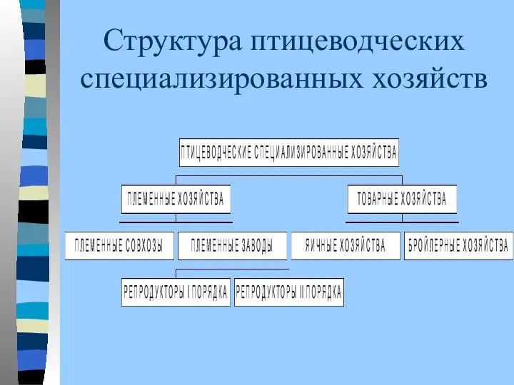 Структура птицеводческих специализированных хозяйств