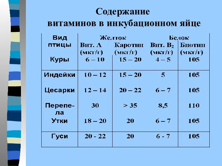 Содержание витаминов в инкубационном яйце