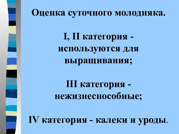 Оценка суточного молодняка. I, II категория - используются для выращивания; III