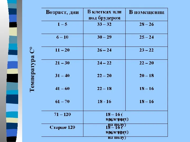 Температура С°