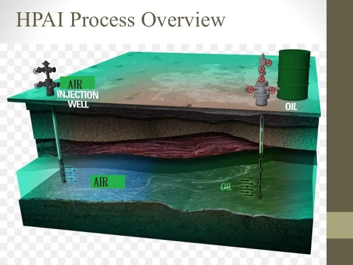 HPAI Process Overview