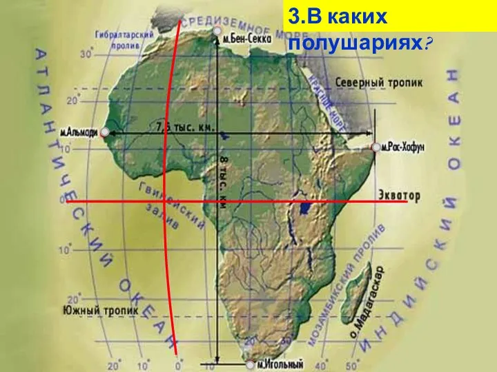 3.В каких полушариях?