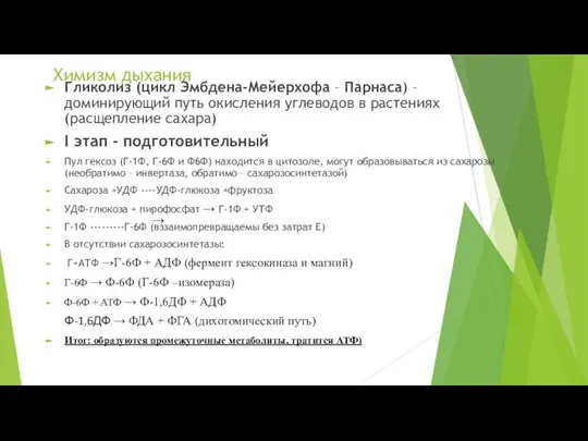 Химизм дыхания Гликолиз (цикл Эмбдена-Мейерхофа – Парнаса) – доминирующий путь окисления