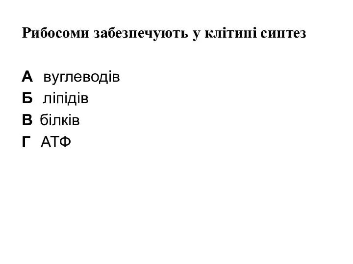 Рибосоми забезпечують у клітині синтез А вуглеводів Б ліпідів В білків Г АТФ