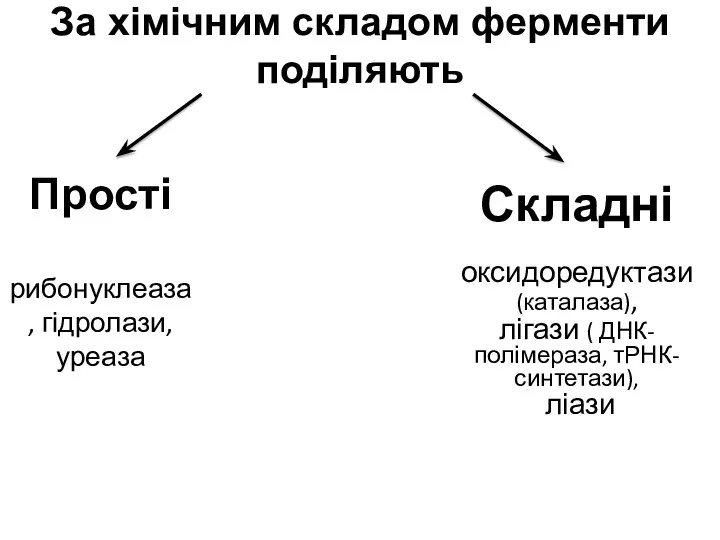 За хімічним складом ферменти поділяють Прості рибонуклеаза, гідролази, уреаза Складні оксидоредуктази