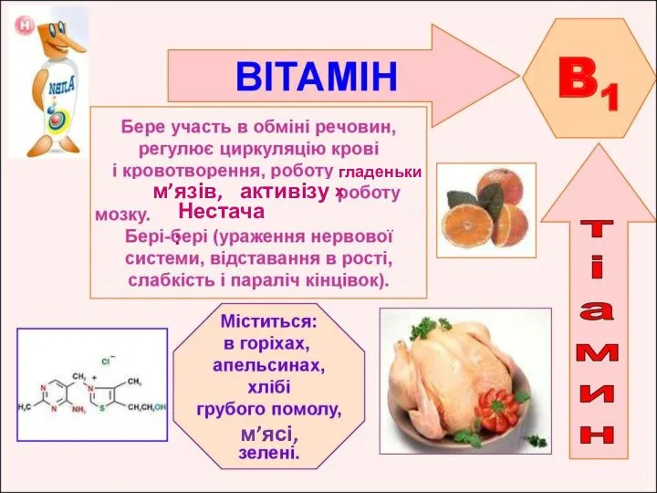 м’ясі, активізує гладеньких м’язів, Нестача: