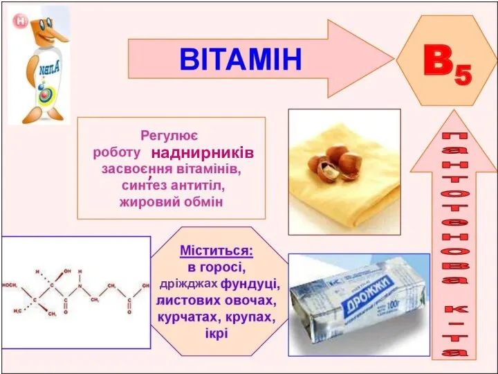 дріжджах, наднирників,