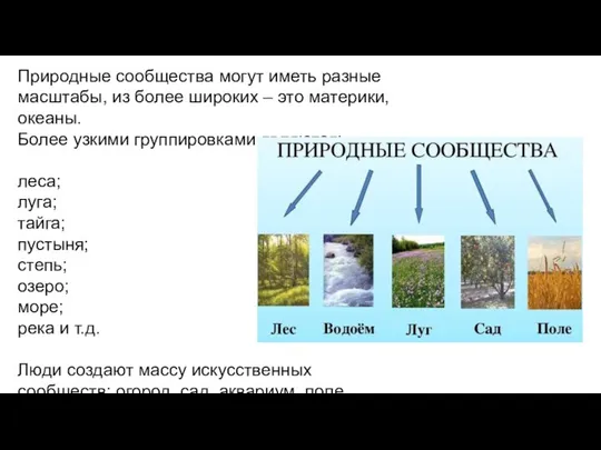 Природные сообщества могут иметь разные масштабы, из более широких – это