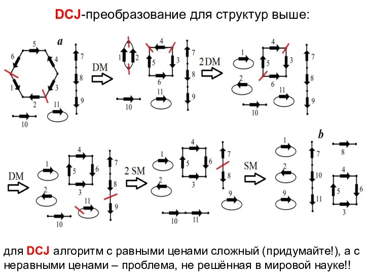 DCJ-преобразование для структур выше: для DCJ алгоритм с равными ценами сложный