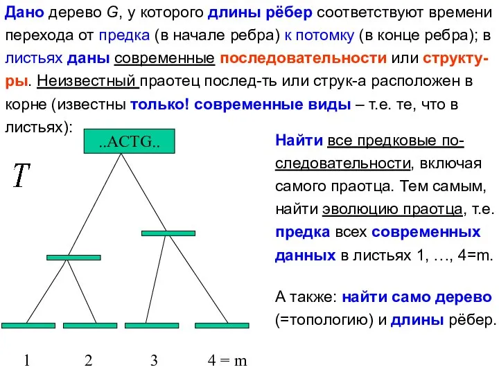 Дано дерево G, у которого длины рёбер соответствуют времени перехода от