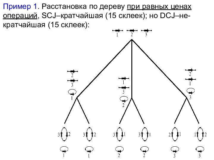 Пример 1. Расстановка по дереву при равных ценах операций, SCJ–кратчайшая (15 склеек); но DCJ–не-кратчайшая (15 склеек):