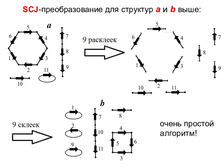 SCJ-преобразование для структур a и b выше: очень простой алгоритм!