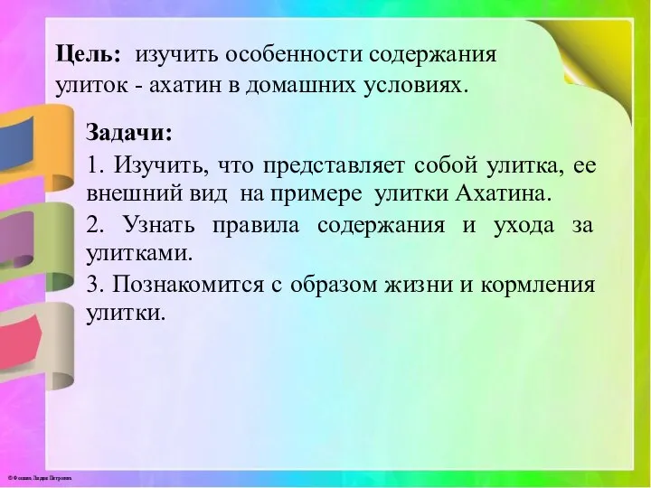 Цель: изучить особенности содержания улиток - ахатин в домашних условиях. Задачи: