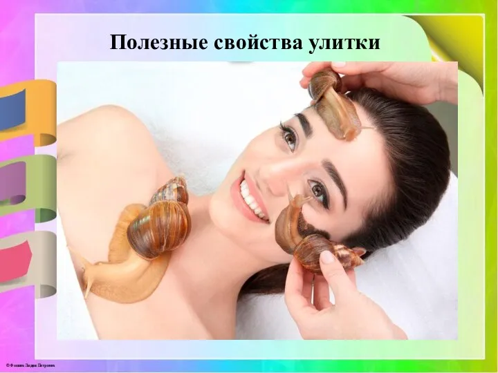 Полезные свойства улитки