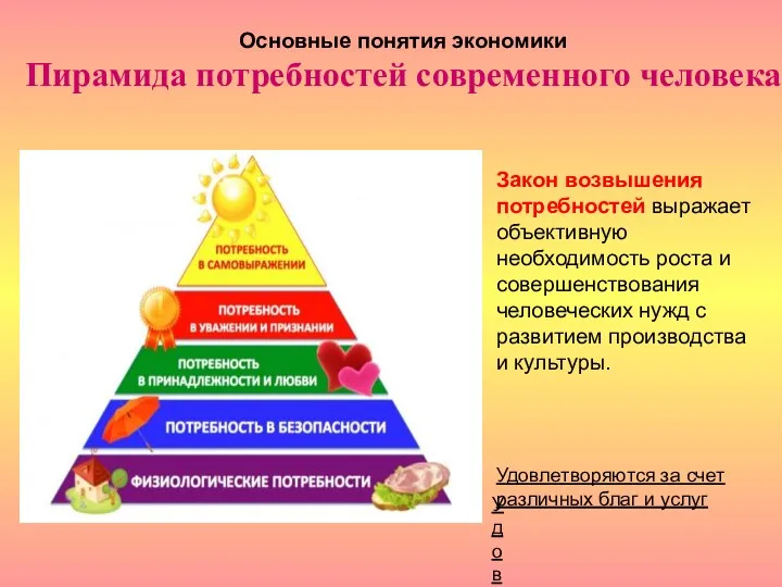 Основные понятия экономики Пирамида потребностей современного человека Закон возвышения потребностей выражает