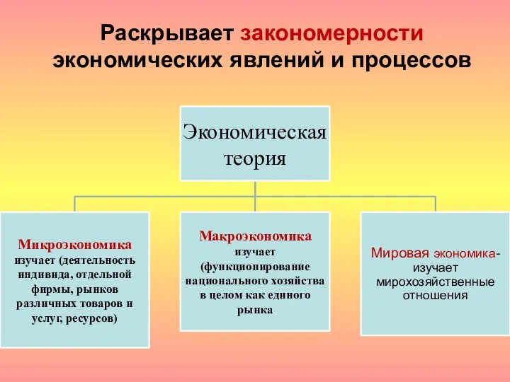 Раскрывает закономерности экономических явлений и процессов