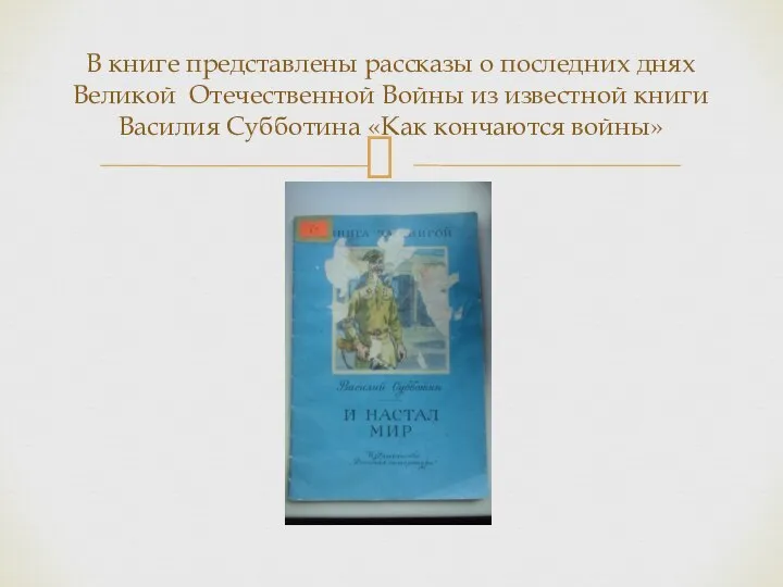 В книге представлены рассказы о последних днях Великой Отечественной Войны из