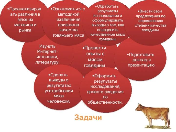 Задачи Изучить Интернет-источники, литературу. Проанализировать различия в мясе из магазина и