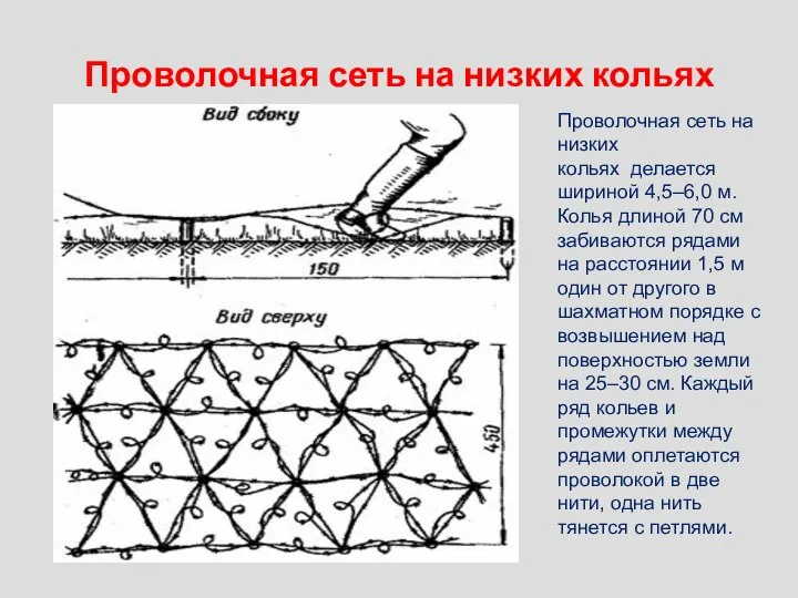 Проволочная сеть на низких кольях Проволочная сеть на низких кольях делается